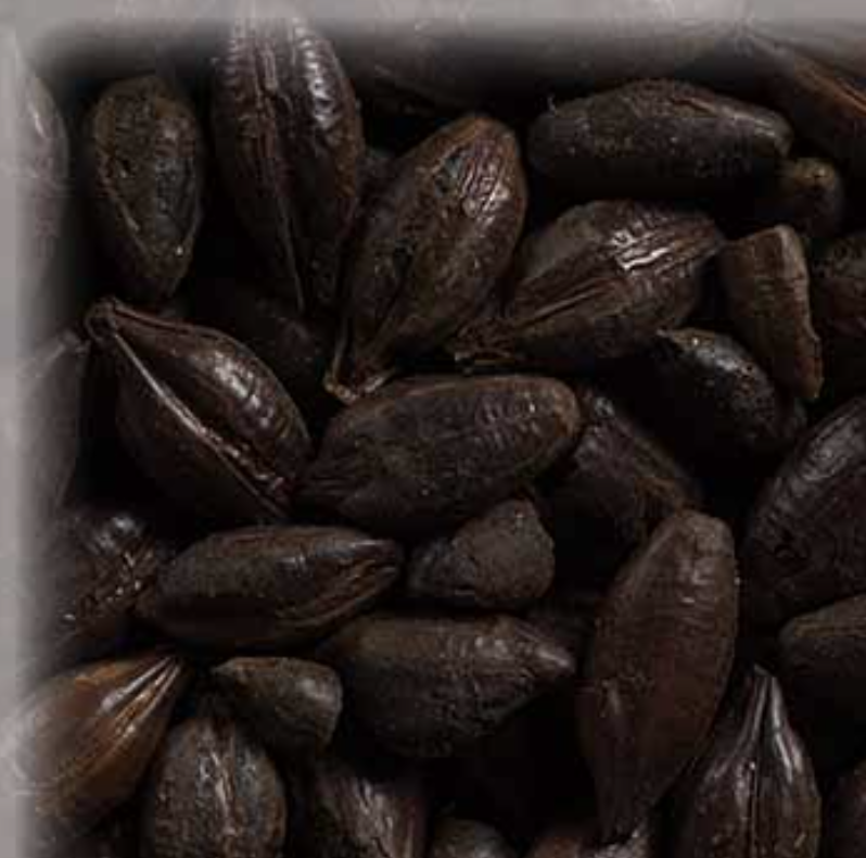 Malta Black KG