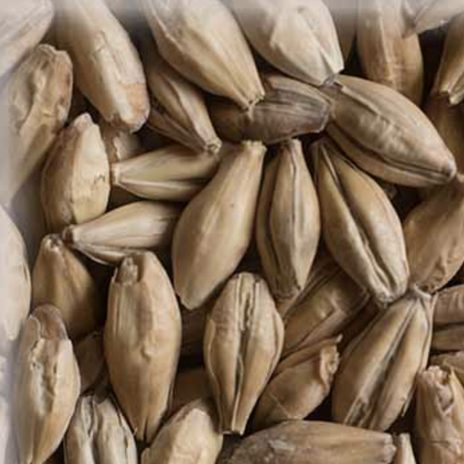 Malta Diastatic KG