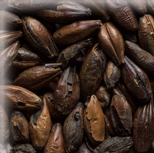 Malta Chocolat KG
